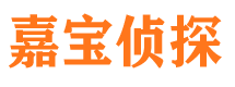 龙门侦探公司